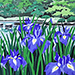 Masao Ido Gallery